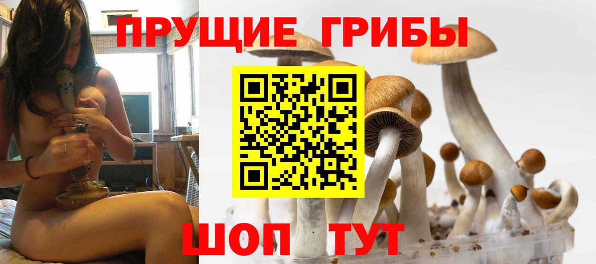 Псилоцибиновые грибы прущие грибы Ялта