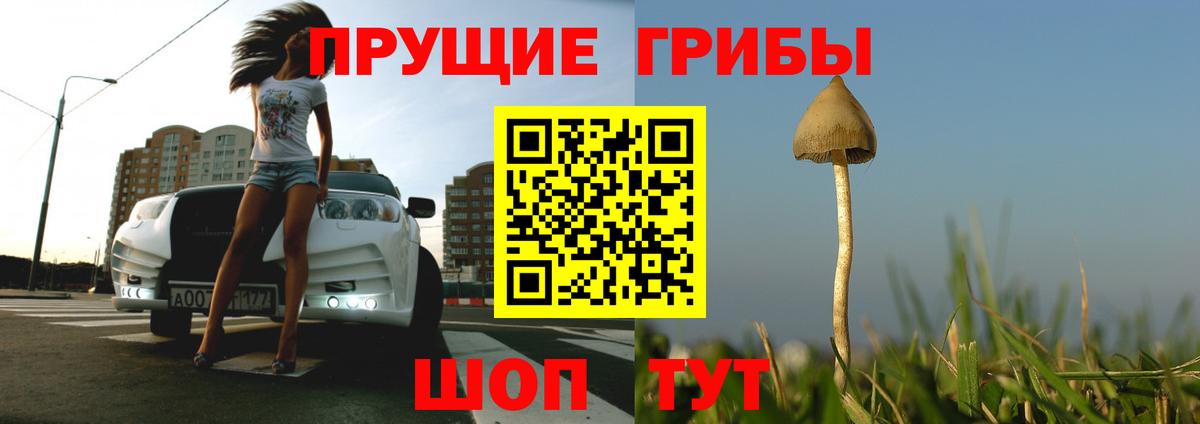 Ялта  Галлюциногенные грибы Cubensis  Вход с VPN  Псилоцибиновые грибы Psilocybe 