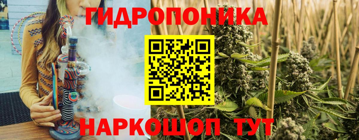 Каннабис SATIVA & INDICA Ялта